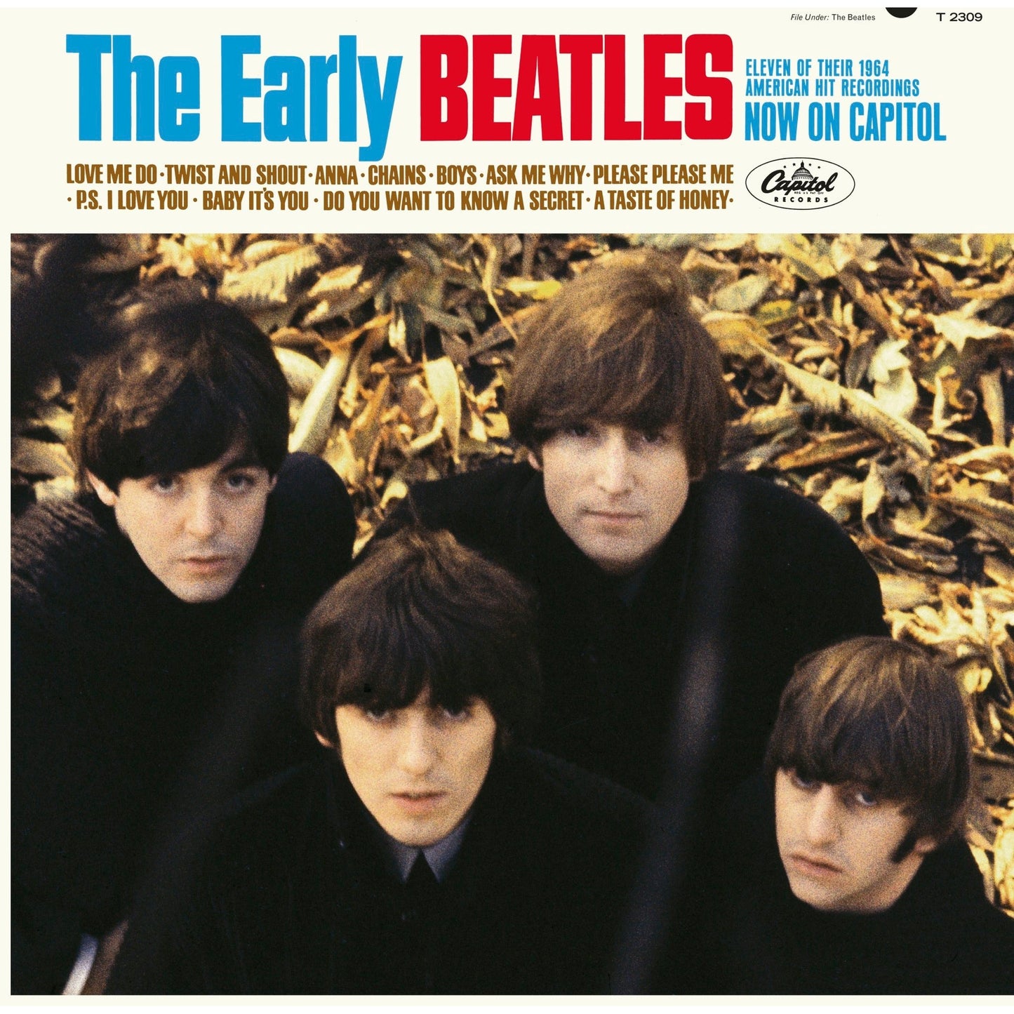 The Beatles - The Early Beatles (In Mono) - LP