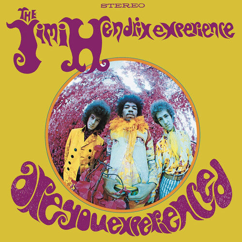 La experiencia Jimi Hendrix - ¿Tienes experiencia? - LP