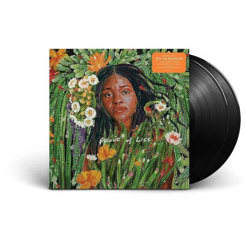 Joy Oladokun - Proof Of Life - LP – The 'In' Groove