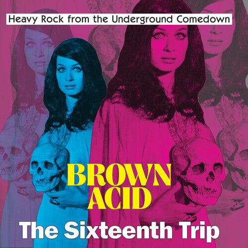 Various Artists - Brown Acid: The Sixteenth Trip - LP