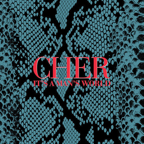 Cher - It's a Man's World - LP