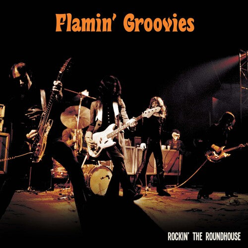 The Flamin' Groovies - Rockin' The Roundhouse - LP