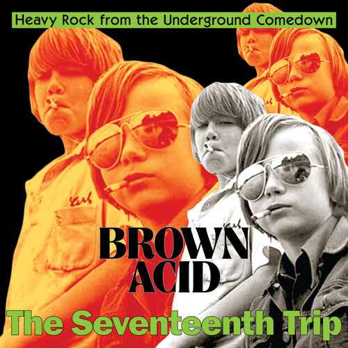 Various Artists - Brown Acid: The Seventeenth Trip - LP