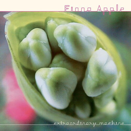 Fiona Apple - Extraordinary Machine - LP