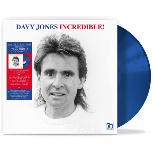 Davy Jones - Incredible! - LP