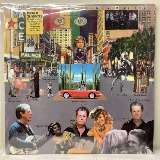 Brian Wilson - Gettin In Over My Head - LP