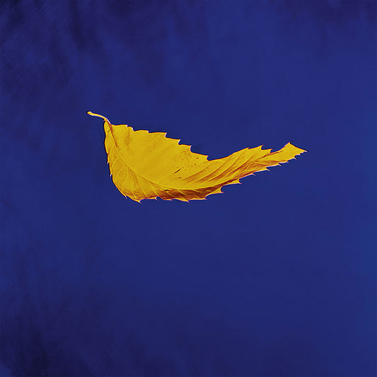 New Order - True Faith - LP