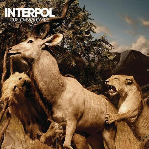 Interpol – Our Love To Admire – LP 