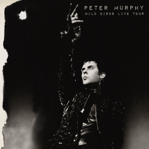 Peter Murphy – Wild Birds Live Tour – LP