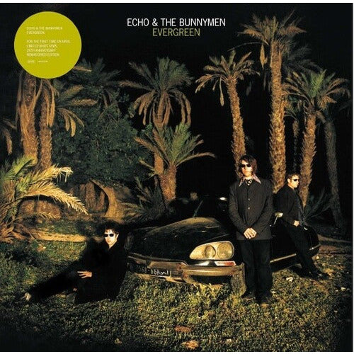 Echo &amp; the Bunnymen – Evergreen – LP