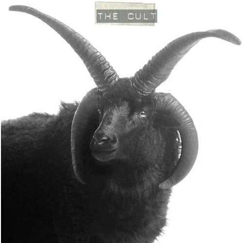 The Cult - The Cult - LP