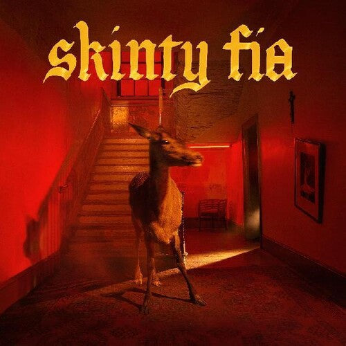 Fontaines DC – Skinty Fia – LP 