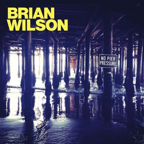 Brian Wilson - No Pier Pressure - LP