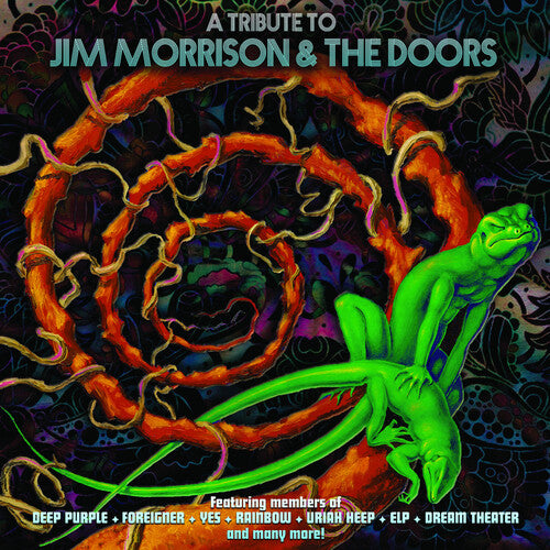 Various Artists - A Tribute To Jim Morrison & The Doors - LP