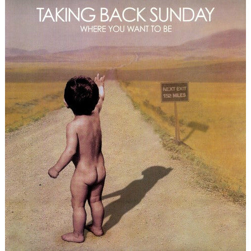 Taking Back Sunday - Where You Want to Be - LP