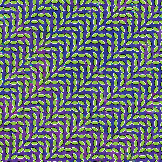 Animal Collective – Merriweather Post Pavilion – LP