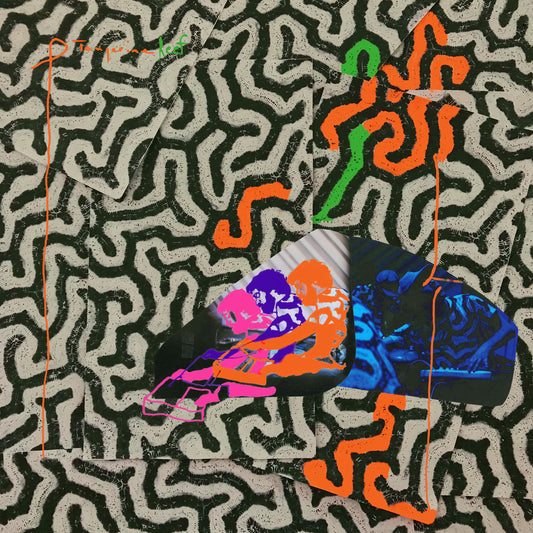 Animal Collective – Tangerine Reef – LP