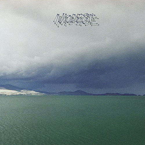 Modest Mouse – Fruit That Ate Itself – LP